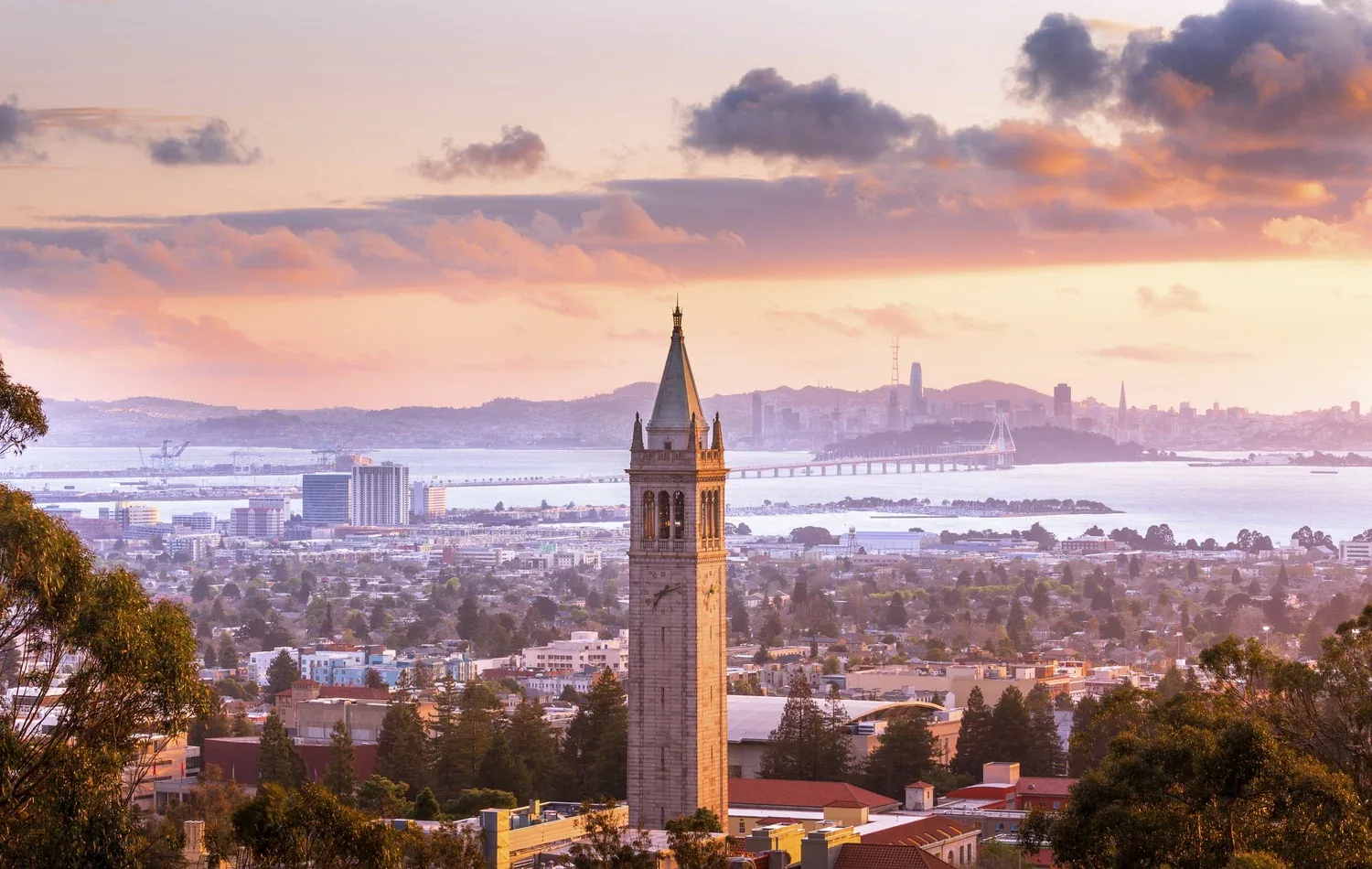 Commercial Roofing in Berkeley, CA